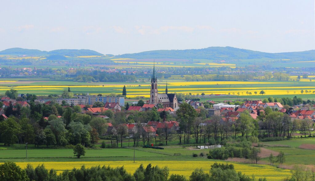 Pieszyce widziane z góry, pola rzepaku i wieża kościoła