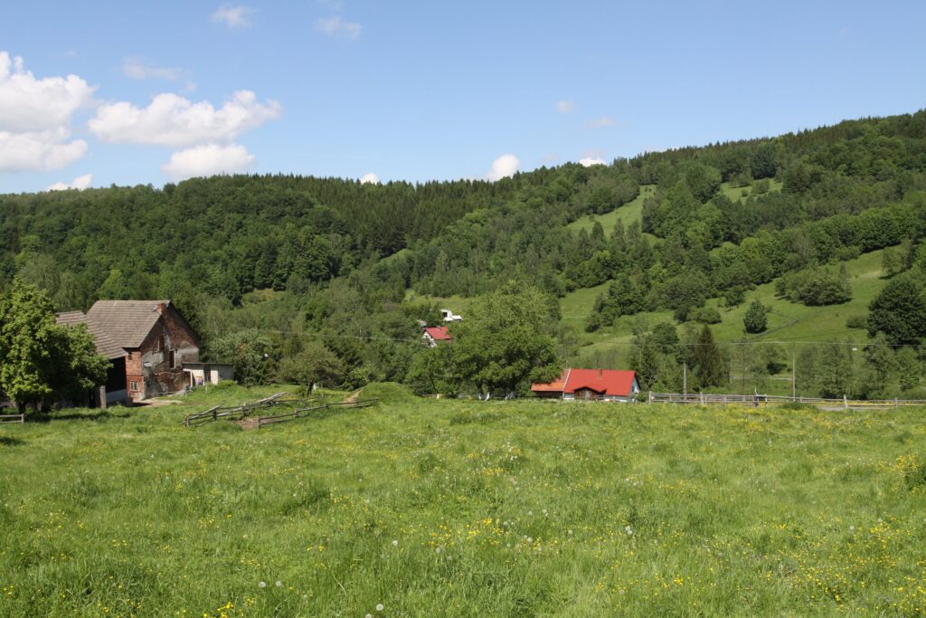 Zabudowa Walimia na zboczu, łąki i zalesiony grzbiet Gór Sowich w tle