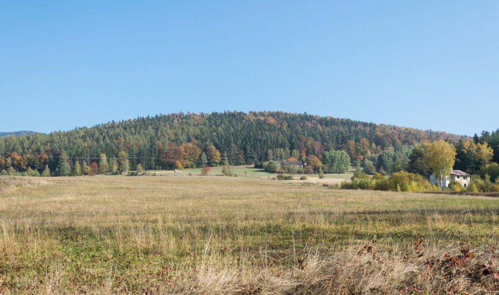 Łąka i zalesiony grzbiet Gór Sowich jesienią